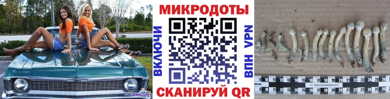 Галлюциногенные грибы Magic Shrooms  Владивосток 