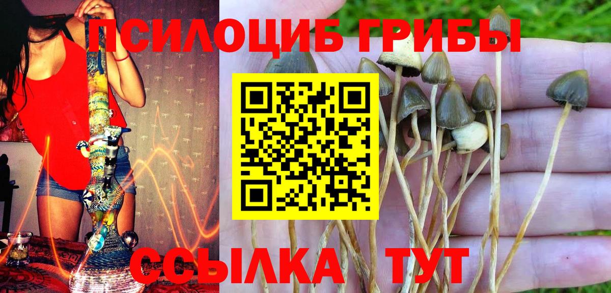 Галлюциногенные грибы мицелий Владивосток